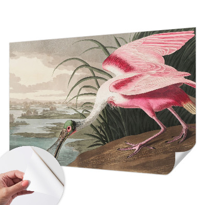 Fototapete in 3D-Optik mit exotischem Vogelmotiv