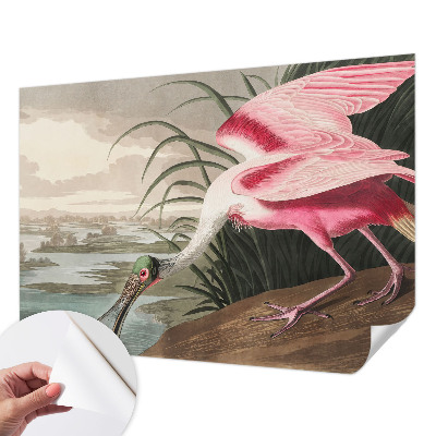 Fototapete in 3D-Optik mit exotischem Vogelmotiv