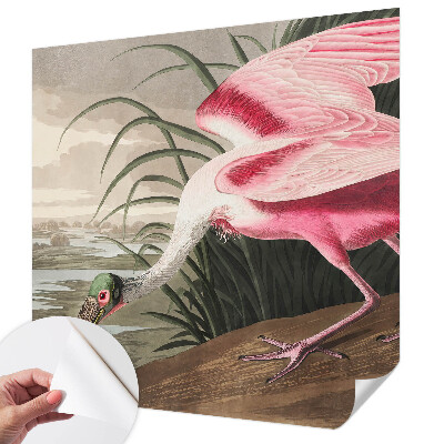 Fototapete in 3D-Optik mit exotischem Vogelmotiv