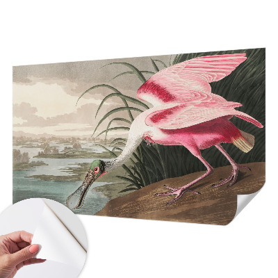 Fototapete in 3D-Optik mit exotischem Vogelmotiv
