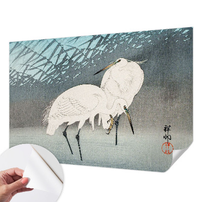 Fototapete nach Maß Zarte Vögel