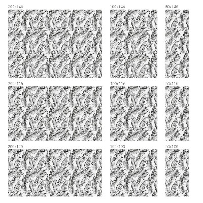 Klebefolie Fenster Sichtschutz Tropische Blätter