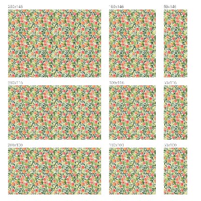 Folie für Fenster blickdicht Fruchtmuster