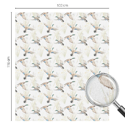 Folie für Fenster blickdicht Vögel Natur