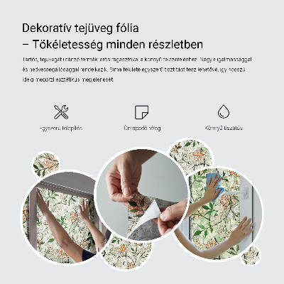 Folie für Fenster blickdicht Fischig-zitrusartig