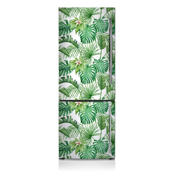 Kühlschrank aufkleber Palme und monstera
