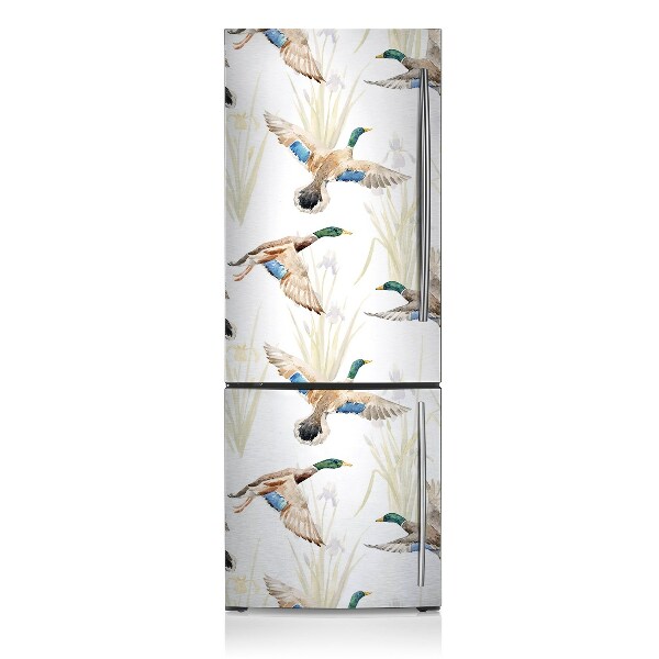 Kühlschrank magnet folie Ente
