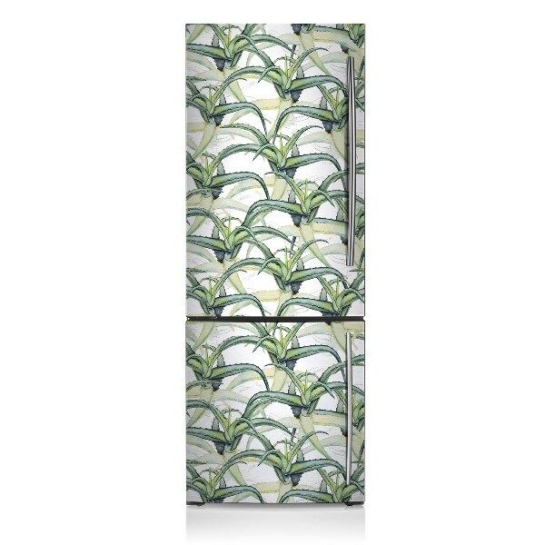 Kühlschrank matte Aloe-foto