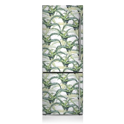 Kühlschrank matte Aloe-foto