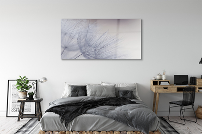 Acrylglasbilder Tautropfen löwenzahn