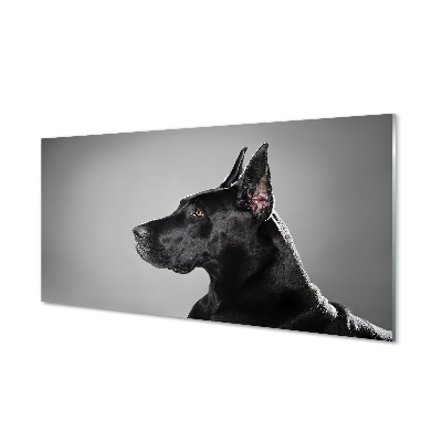 Acrylglasbilder Schwarzer hund