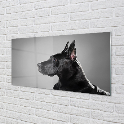 Acrylglasbilder Schwarzer hund