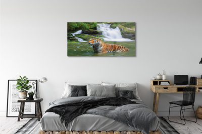 Acrylglasbilder Fallendem wasser tiger