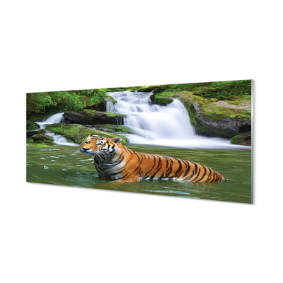 Acrylglasbilder Fallendem wasser tiger