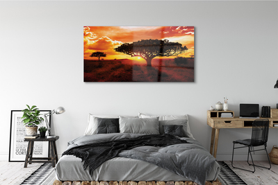 Acrylglasbilder Wolken bäume westen