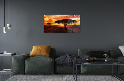 Acrylglasbilder Wolken bäume westen