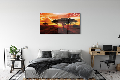 Acrylglasbilder Wolken bäume westen