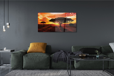 Acrylglasbilder Wolken bäume westen