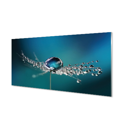 Acrylglasbilder Löwenzahn-makro tropfen