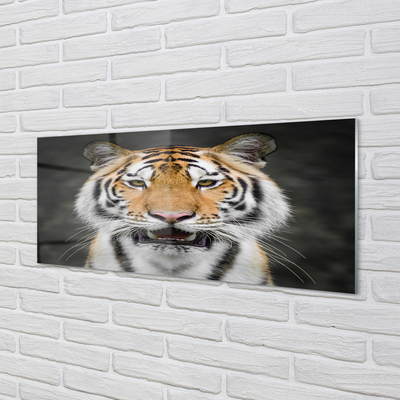 Acrylglasbilder Tiger