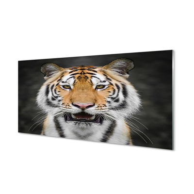 Acrylglasbilder Tiger