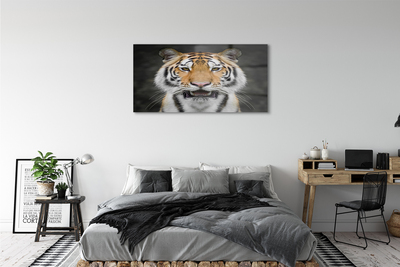 Acrylglasbilder Tiger