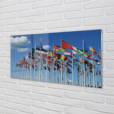 Acrylglasbilder Verschiedene flags