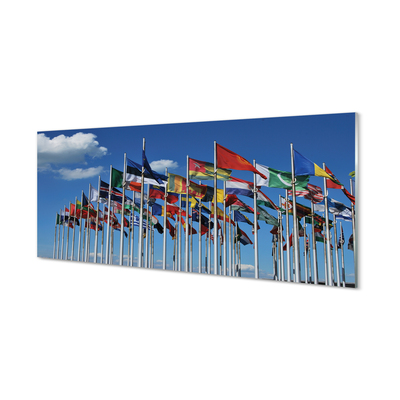 Acrylglasbilder Verschiedene flags