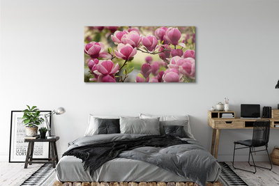 Acrylglasbilder Blühenden bäumen
