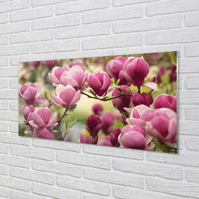 Acrylglasbilder Blühenden bäumen
