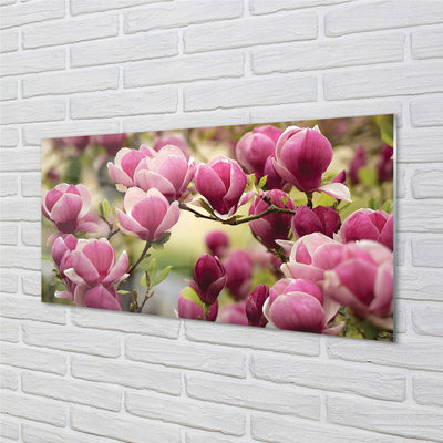 Acrylglasbilder Blühenden bäumen