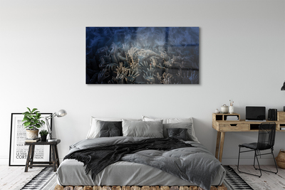 Acrylglasbilder Blaues licht hände