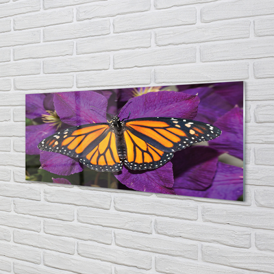 Acrylglasbilder Blumen bunter schmetterling