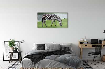 Acrylglasbilder Zebra