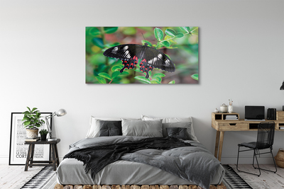 Acrylglasbilder Blätter farbiger schmetterling