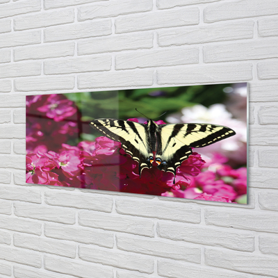 Acrylglasbilder Schmetterling blume