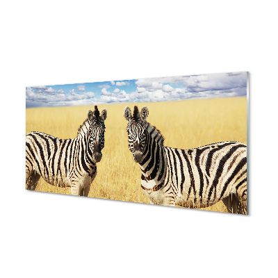 Acrylglasbilder Zebra-box