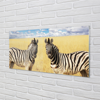 Acrylglasbilder Zebra-box