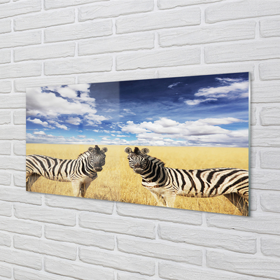 Acrylglasbilder Zebra-box