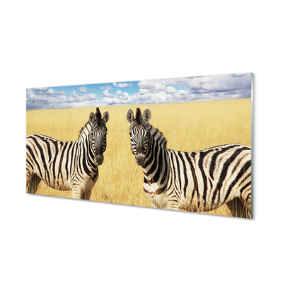 Acrylglasbilder Zebra-box