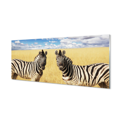 Acrylglasbilder Zebra-box