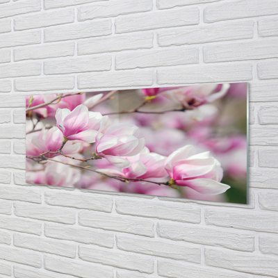 Acrylglasbilder Blühenden bäumen