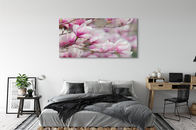 Acrylglasbilder Blühenden bäumen
