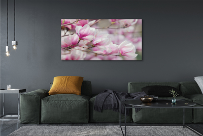 Acrylglasbilder Blühenden bäumen