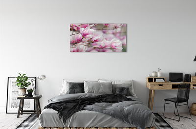 Acrylglasbilder Blühenden bäumen