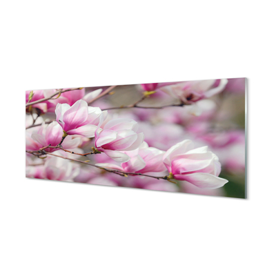 Acrylglasbilder Blühenden bäumen