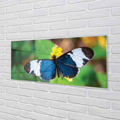 Acrylglasbilder Bunter schmetterling auf blumen