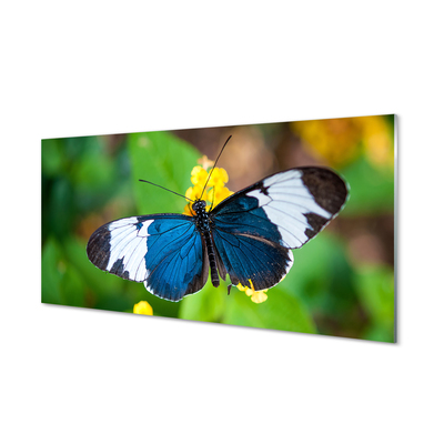 Acrylglasbilder Bunter schmetterling auf blumen