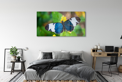 Acrylglasbilder Bunter schmetterling auf blumen