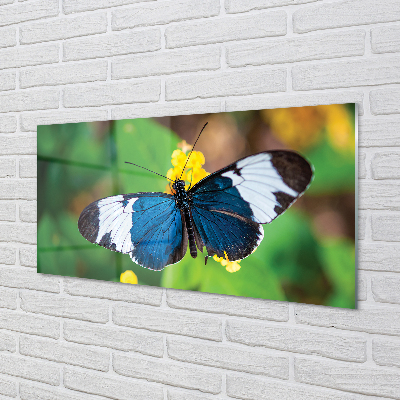 Acrylglasbilder Bunter schmetterling auf blumen